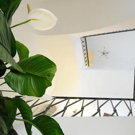 Maison d'hôtes Boutique Gimagì